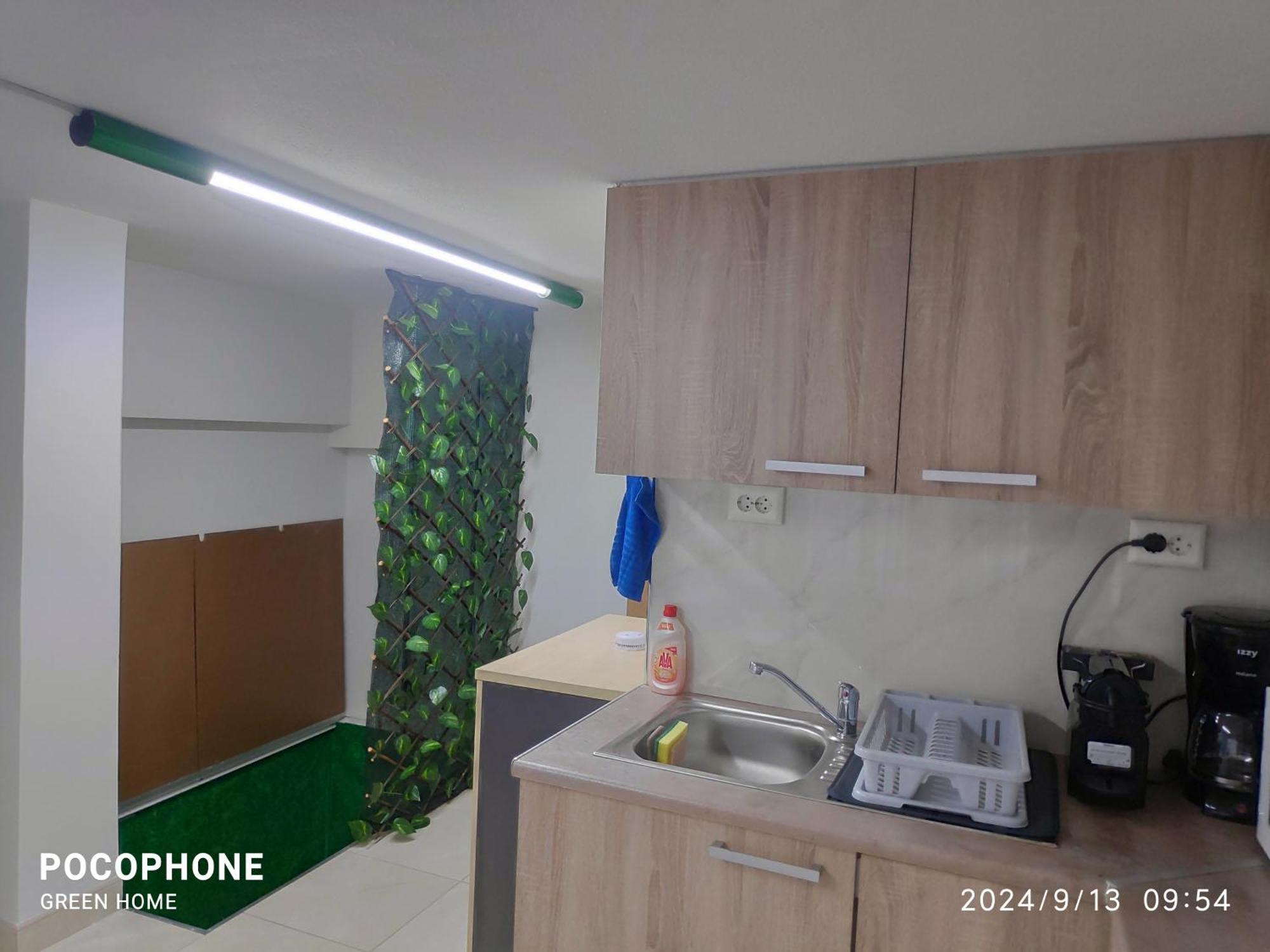 Green Home أثينا المظهر الخارجي الصورة