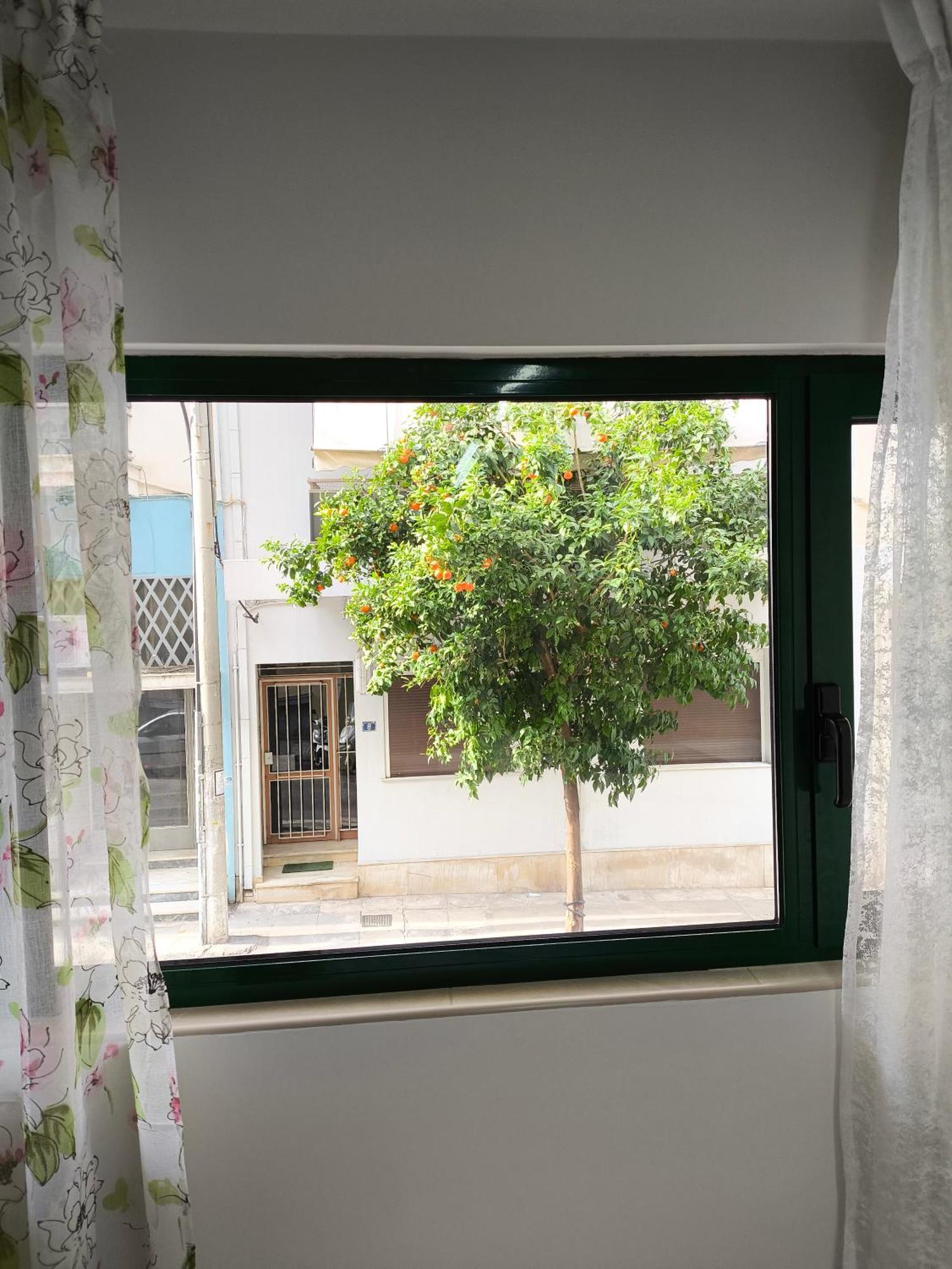 Green Home أثينا المظهر الخارجي الصورة